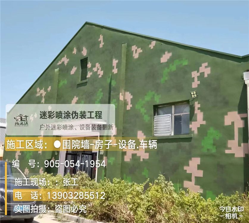 文昌外墙数码迷彩漆施工报价清单（100㎡标准墙面测算）